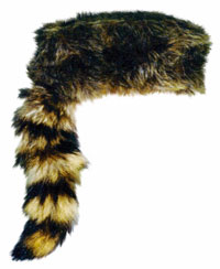The preferred headgear of patriotic frontiersmen and plain-spoken politicians such as Davy Crockett, the “King of the Wild Frontier”.